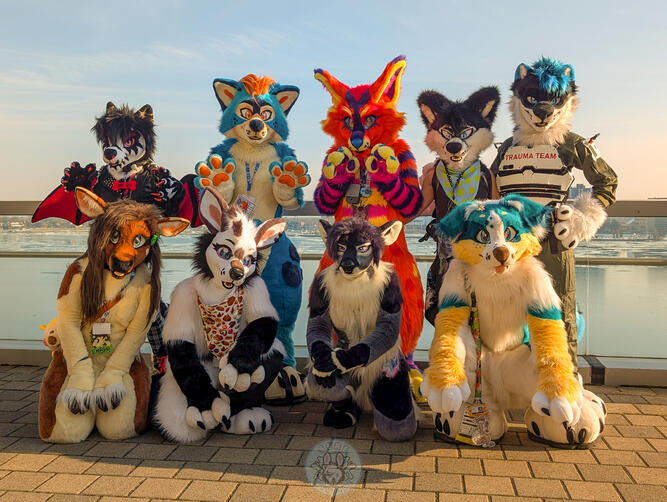 Motor City Furry Con