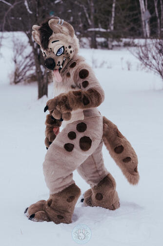 Dax Hyena Dax Hyena